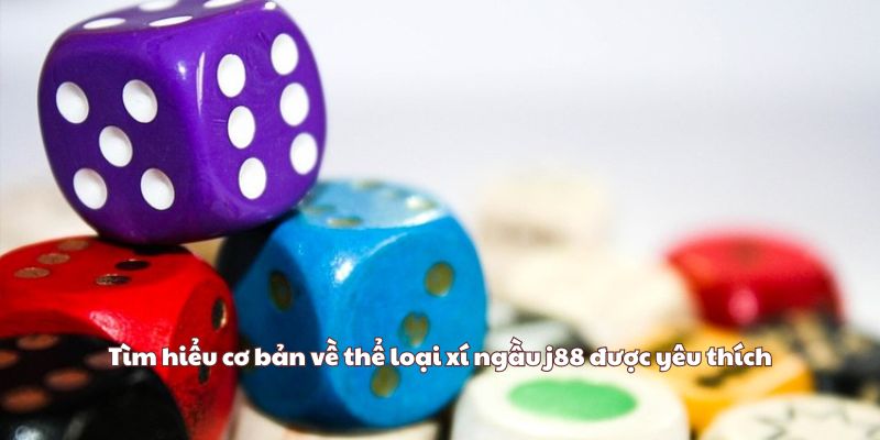 Tìm hiểu cơ bản về thể loại xí ngầu j88 được yêu thích